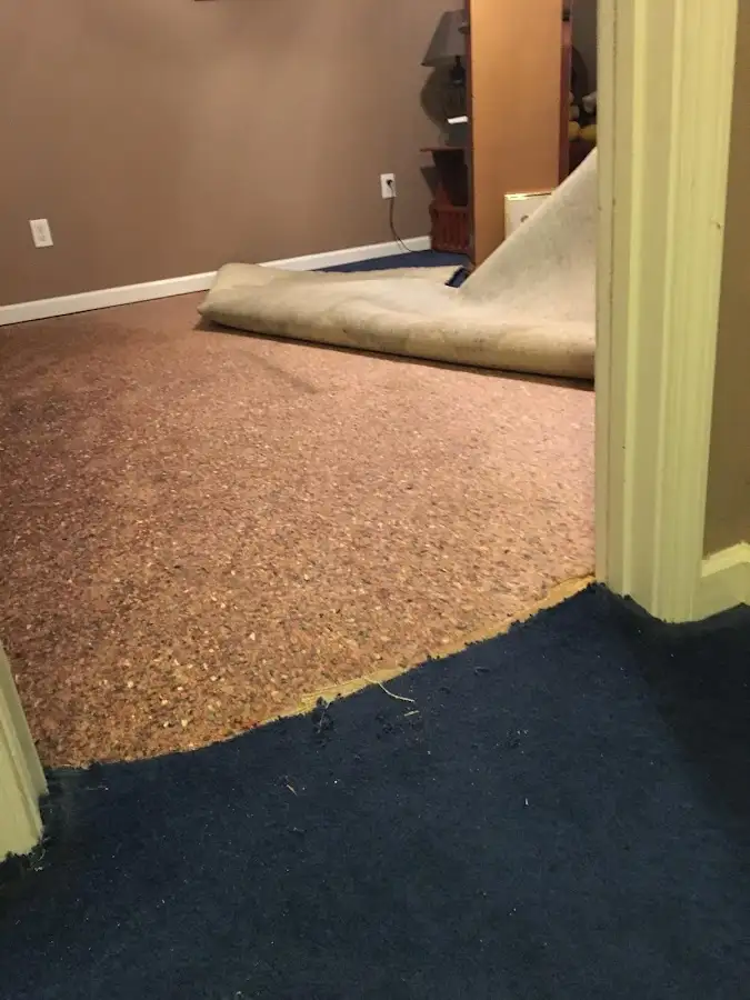 Carpet pad removal revealing water damage during Drying & Dehumidification in Plattekill